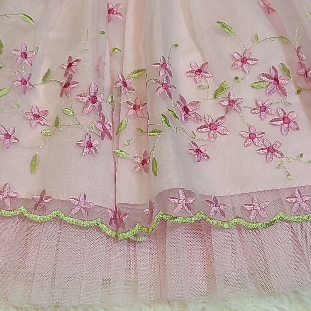 Jona Michelle Pink Green Embroidered Tulle Special Dress Floral Accents 12 Mo. - Picture 2 of 9